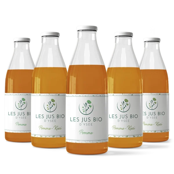 l'instant d'ysée épicerie jus de pomme et jus de pomme kiwi x12