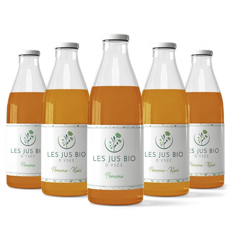 l'instant d'ysée épicerie jus de pomme et jus de pomme kiwi x12