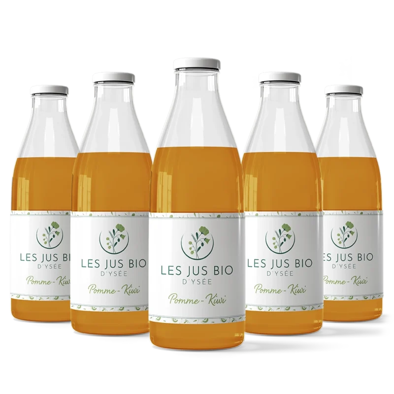 l'instant d'ysée épicerie jus de pomme kiwi x12