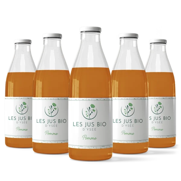 l'instant d'ysée épicerie jus de pommes bio x12