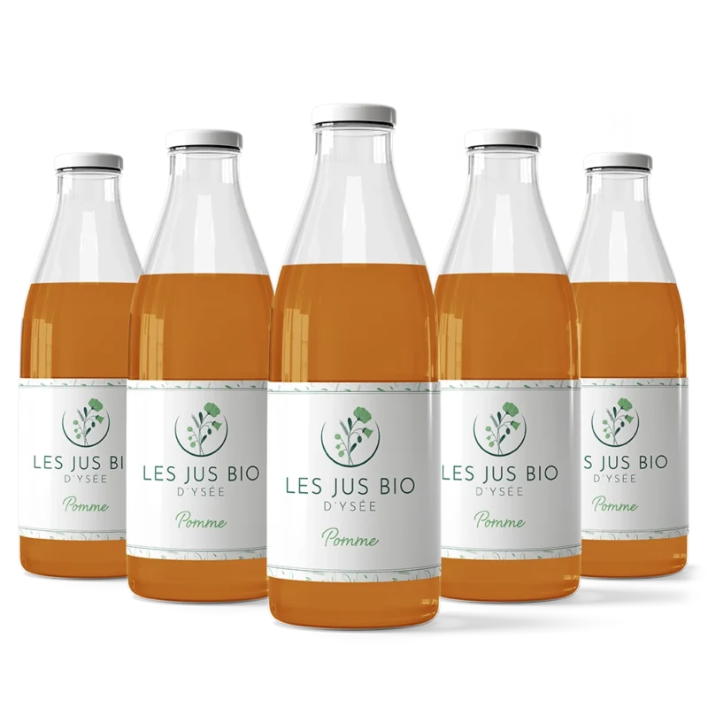 l'instant d'ysée épicerie jus de pommes bio x12